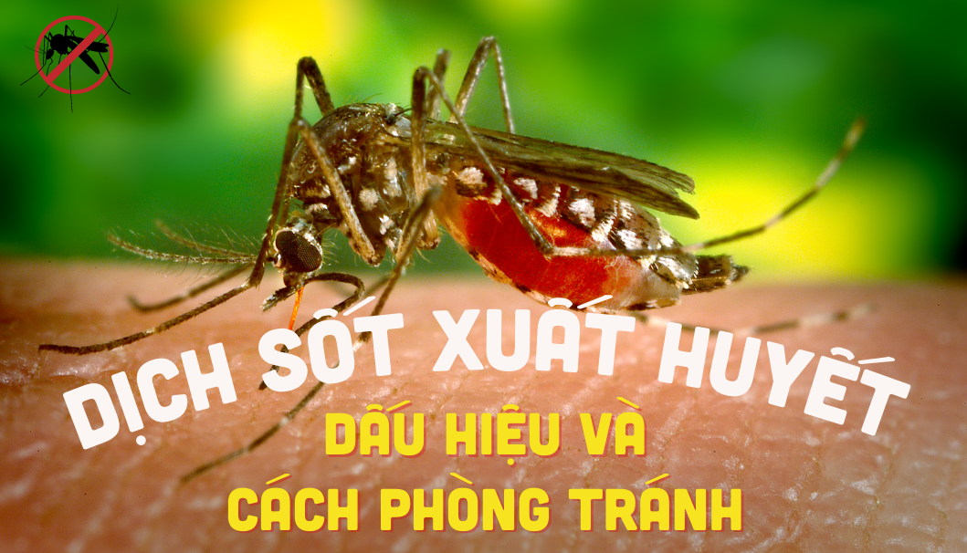 [Infographics] Dịch sốt xuất huyết, dấu hiệu và cách phòng tránh