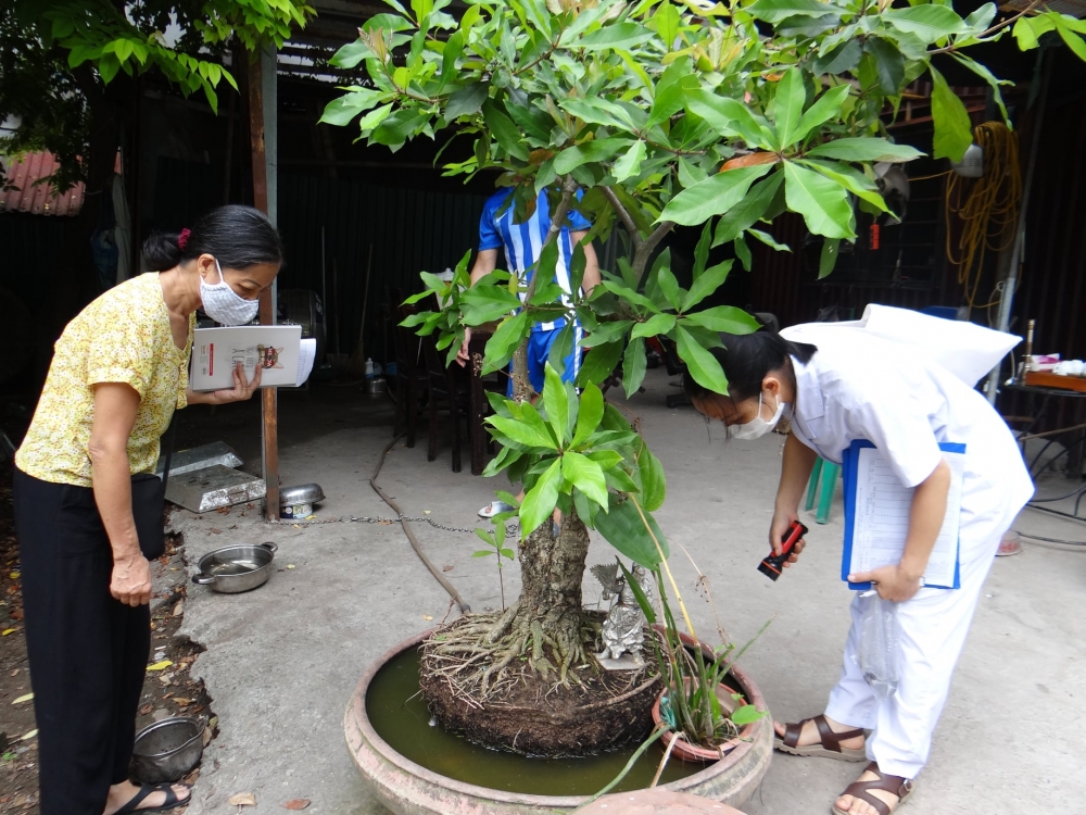 Sốt xuất huyết: Phòng bệnh hơn chữa bệnh