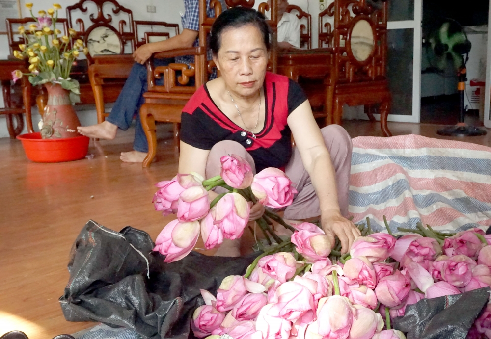 Thương hiệu trà sen Tây Hồ