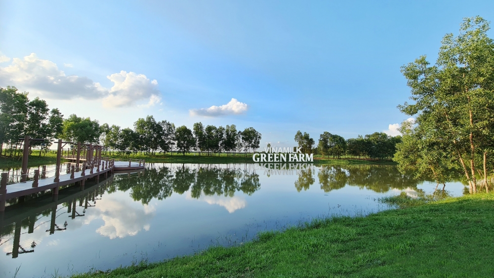 Vinamilk Green Farm - mô hình trang trại bò sữa phát triển bền vững