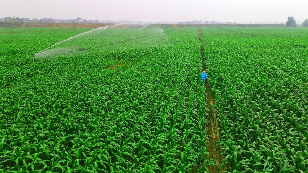 Mô hình phát triển bền vững “Vinamilk Green Farm” được chia sẻ tại Hội nghị sữa toàn cầu