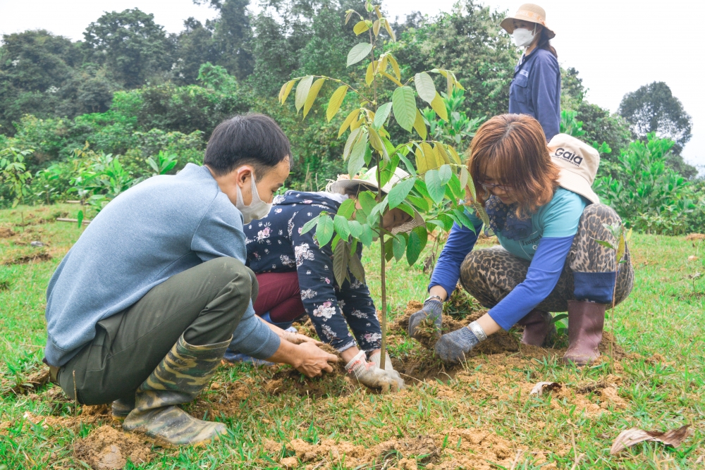 Manulife Việt Nam cùng khách hàng trồng rừng, hướng tới một tương lai bền vững