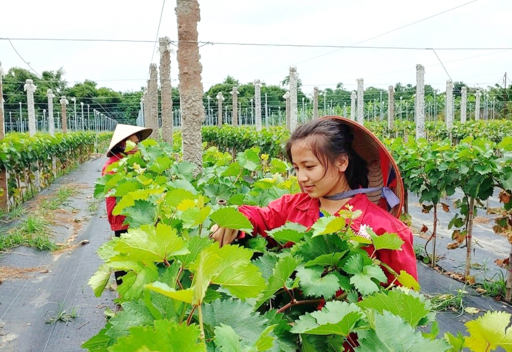 Doanh nghiệp vẫn lo khó chạm tới