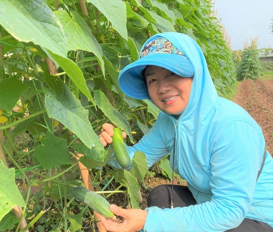 Người "gieo hương" lên đất phù sa