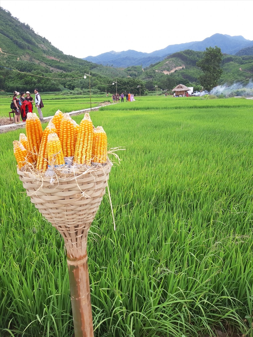 Farmstay - loại hình du lịch nghỉ dưỡng đang 