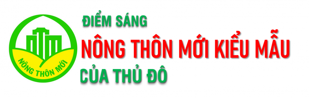 Nông dân tiên phong trong xây dựng nông thôn mới kiểu mẫu