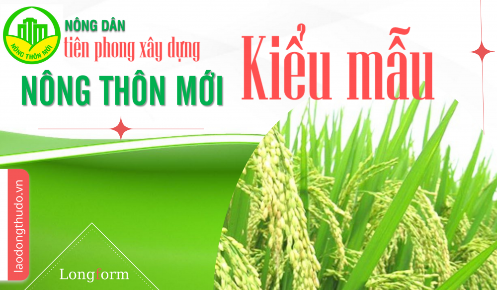 Nông dân tiên phong trong xây dựng nông thôn mới kiểu mẫu