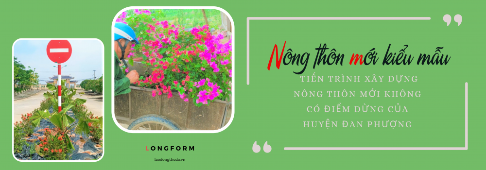 Nông dân tiên phong trong xây dựng nông thôn mới kiểu mẫu