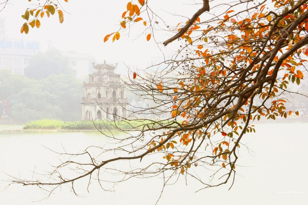 “Thu rất thật thu là khi chớm đông sang...”