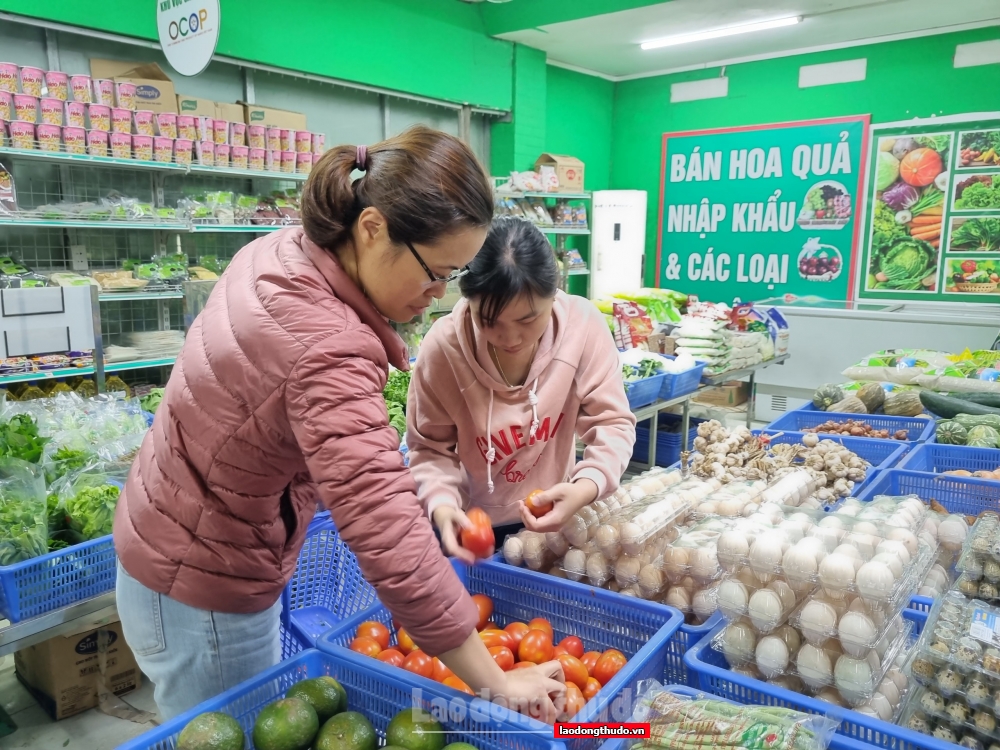 Khai trương Điểm giới thiệu và bán sản phẩm OCOP tại quận Bắc Từ Liêm