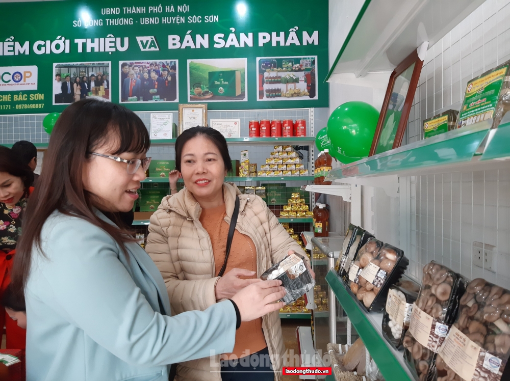 Hà Nội: Khai trương thêm Điểm giới thiệu và bán sản phẩm OCOP tại huyện Phú Xuyên và Sóc Sơn