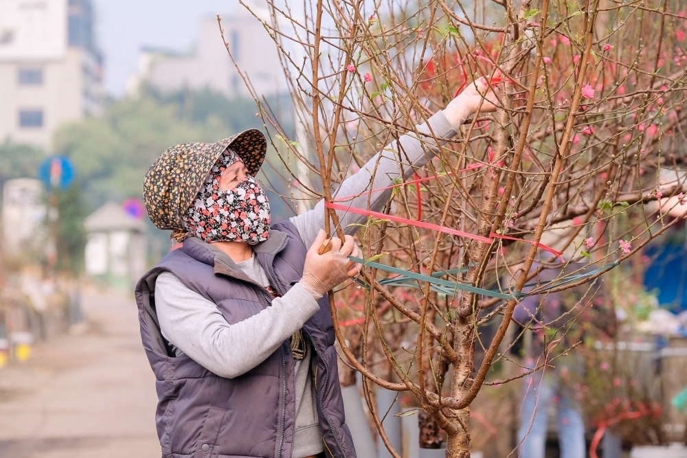 Hà Nội: Ngăn chặn mọi hành vi đốt pháo, đua xe, phá hoại cây xanh dịp Tết