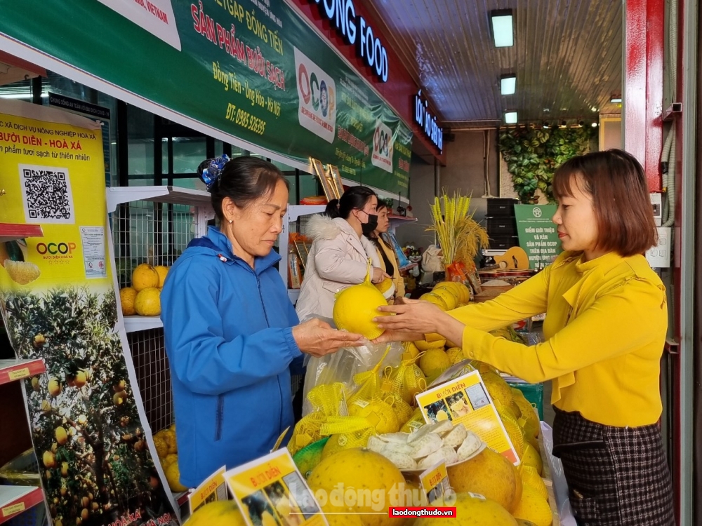 Điểm tựa để sản phẩm OCOP đến gần hơn với người tiêu dùng Thủ đô