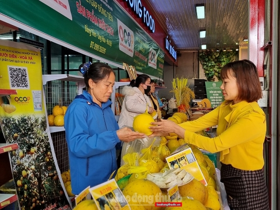 Hà Nội: Khai trương Điểm giới thiệu và bán sản phẩm OCOP tại huyện Ứng Hòa