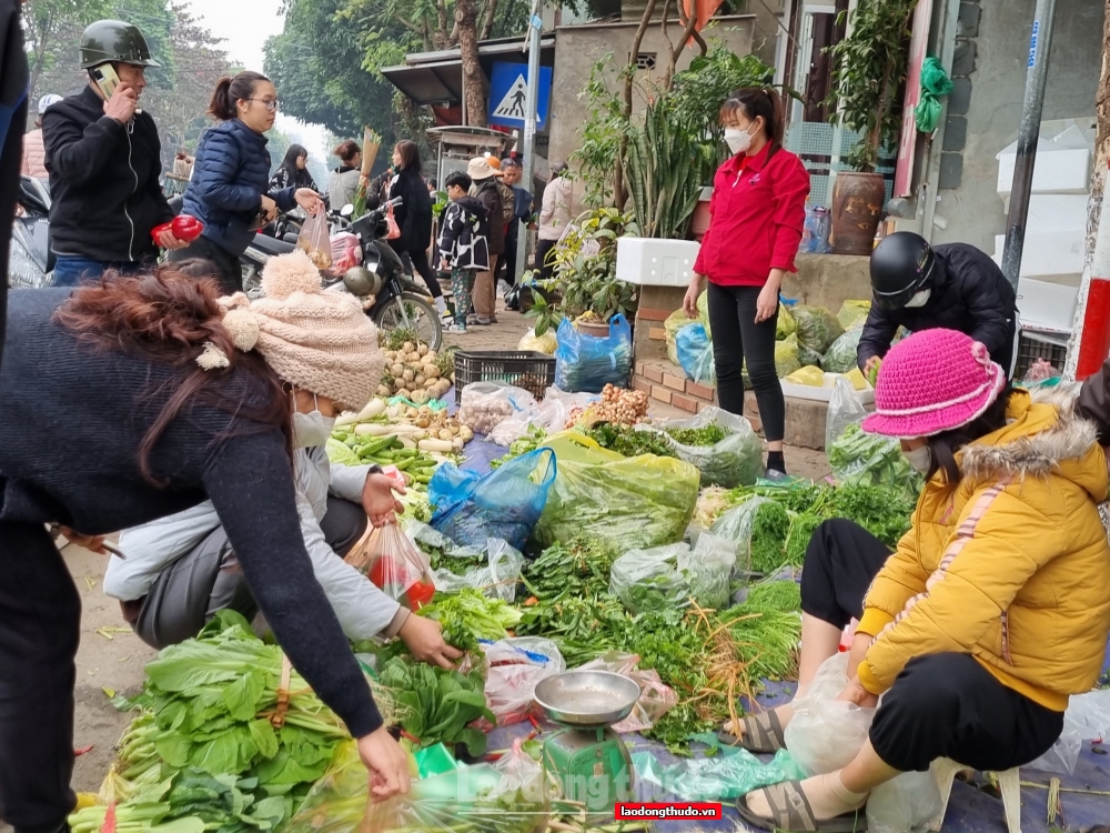 Thị trường thực phẩm ngày cận Tết giá ổn định, hàng hóa dồi dào