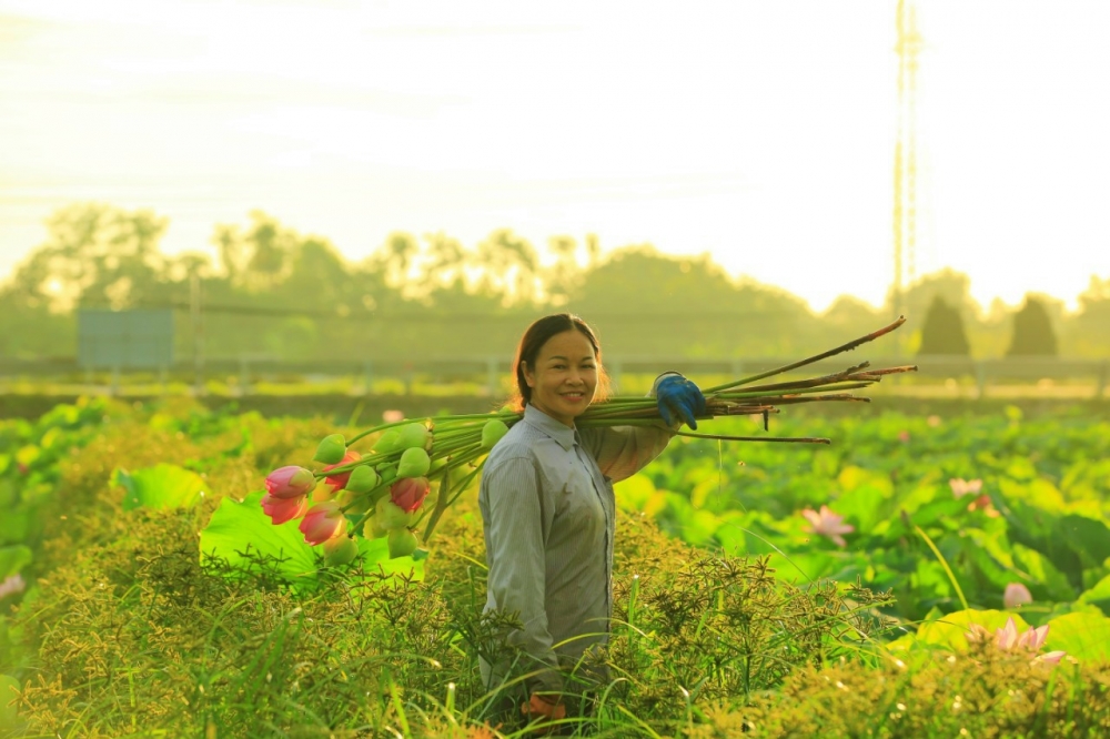 Nâng cao năng lực phát triển kinh tế cho phụ nữ