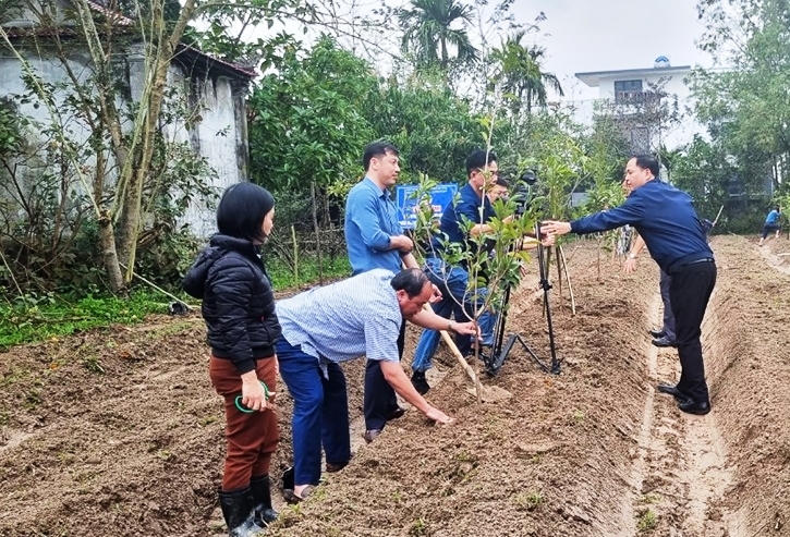 Trồng hơn 13.000 cây phủ xanh thành phố Hà Tĩnh