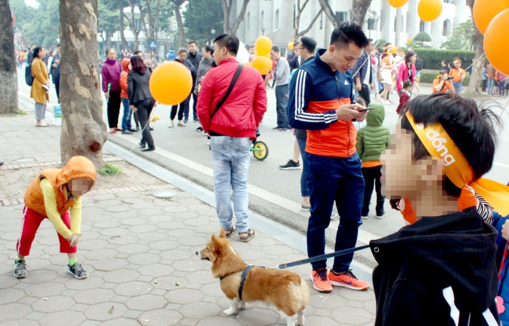 Ngăn chặn nguy hiểm từ chó thả rông