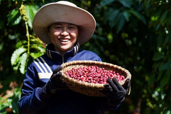 Thúc đẩy nền nông nghiệp phát thải thấp qua mô hình nông nghiệp tái sinh