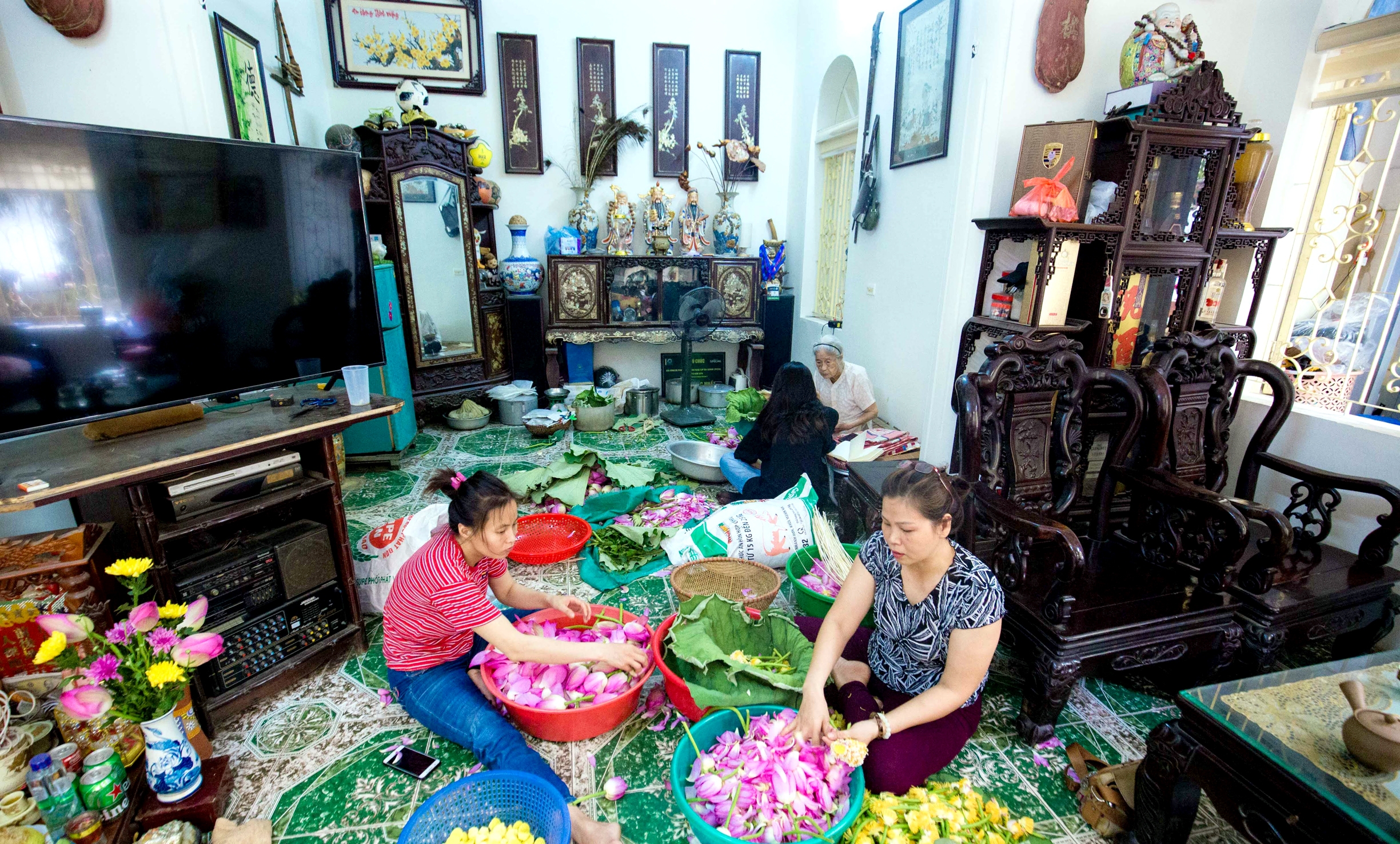 Nhân rộng, phát huy hiệu quả các mô hình trồng sen