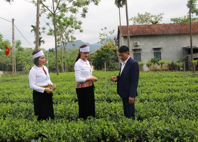 Hà Nội: Ưu tiên nguồn lực phát triển vùng đồng bào dân tộc thiểu số