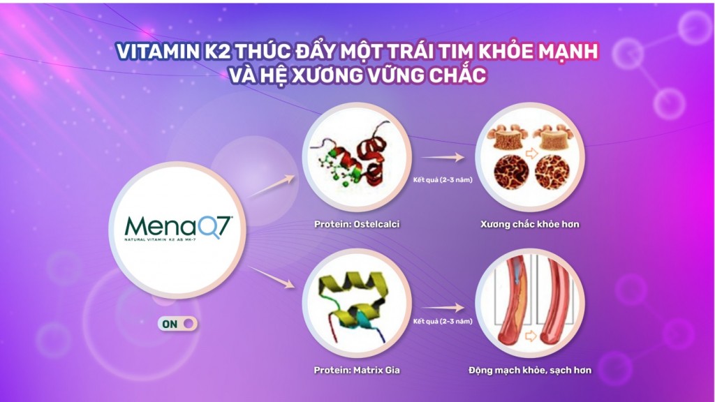 Sắp diễn ra Hội thảo khoa học “MenaQ7 (Vitamin K2) với sức khỏe xương và tim mạch 2023”