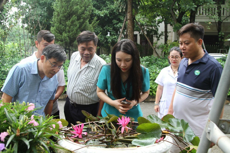 Quận Tây Hồ quyết liệt phòng, chống dịch sốt xuất huyết