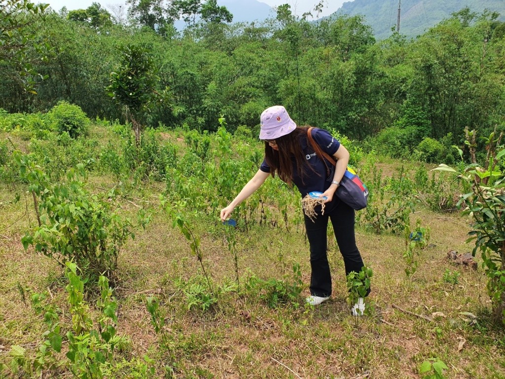 Trụ cột để TNG Holdings Vietnam phát triển bền vững