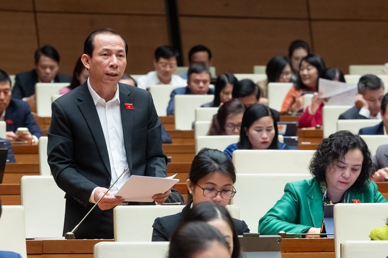 Đại biểu Quốc hội băn khoăn việc khống chế tỷ lệ sở hữu tối đa tại các ngân hàng