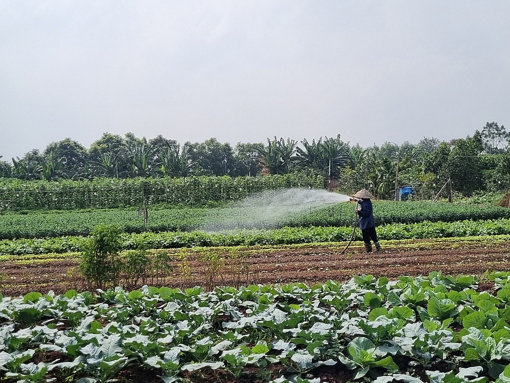 Tăng trưởng xanh: Cần tư duy chiến lược và tầm nhìn đột phá