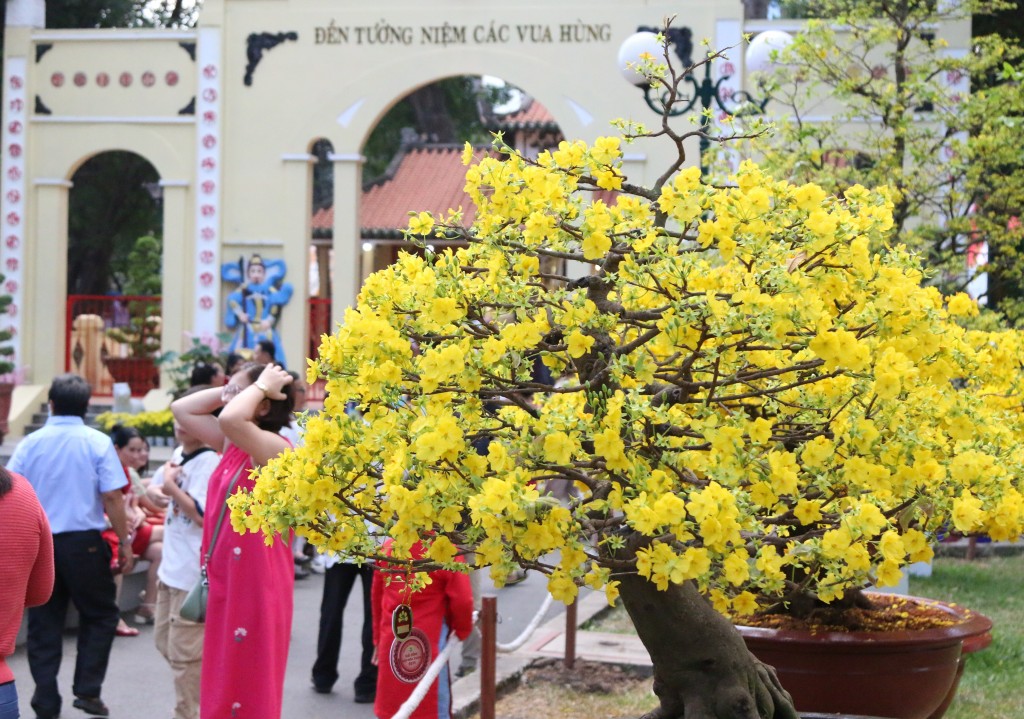 TP.HCM: Công viên Tao Đàn bắt đầu 