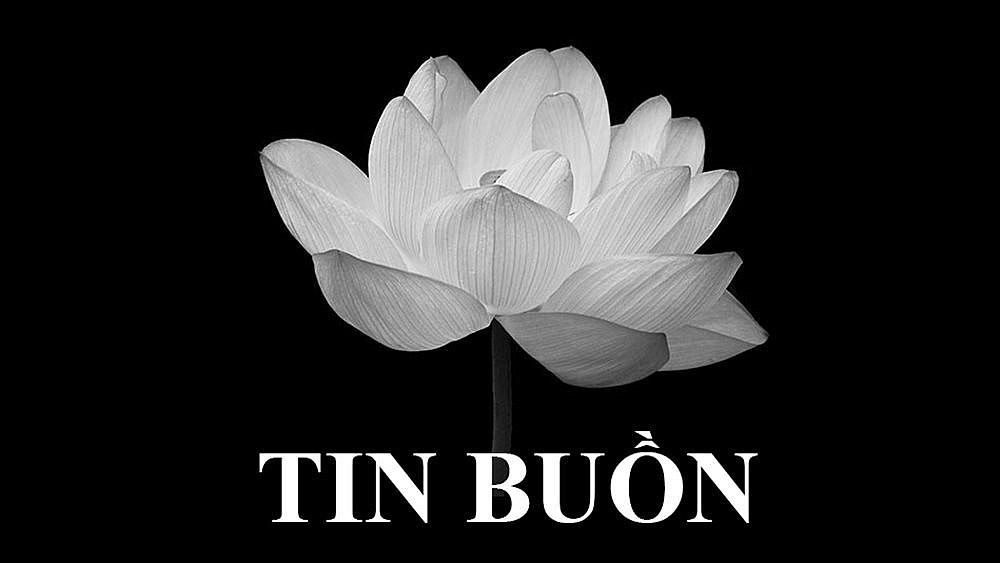 TIN BUỒN