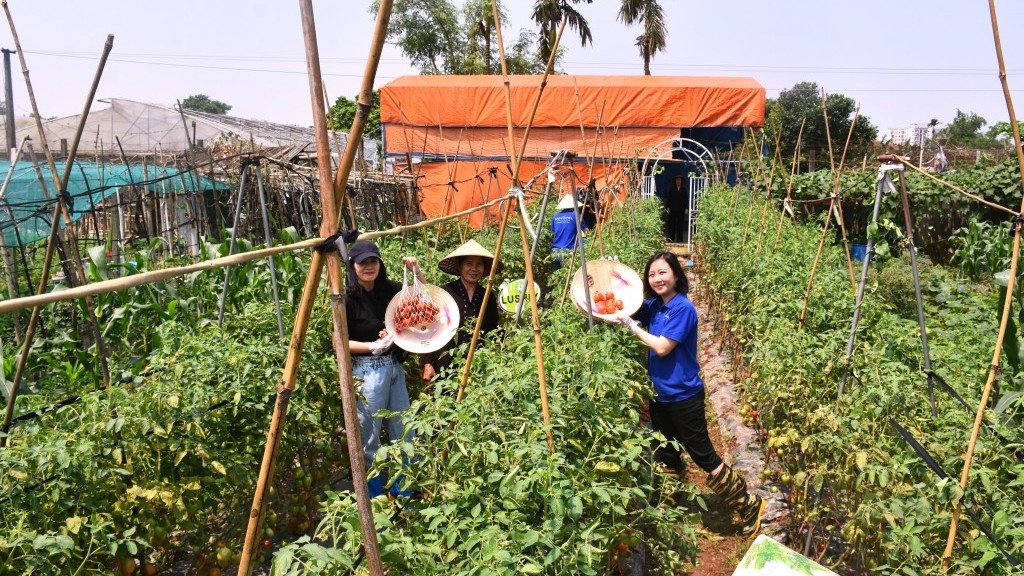 Vùng đất bãi "lột xác" nhờ gắn nông nghiệp với du lịch cộng đồng