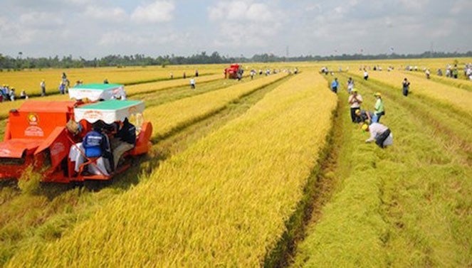 Luật Đất đai 2024: Bị thu hồi đất nông nghiệp có thể được bồi thường bằng nhà ở, đất ở