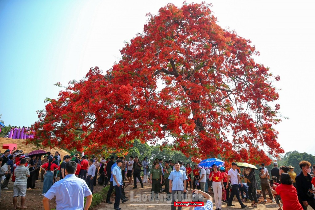 Người dân và du khách nô nức về Điện Biên mừng kỷ niệm 70 năm Chiến thắng Điện Biên Phủ