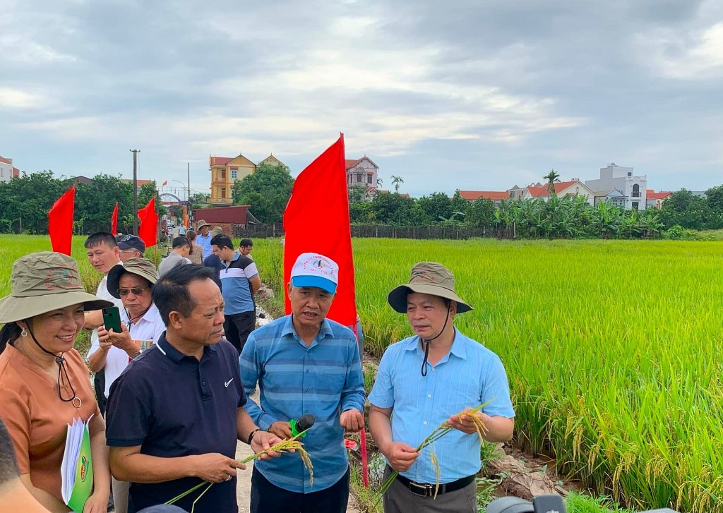 Chuyển mạnh tư duy từ sản xuất nông nghiệp sang kinh tế nông nghiệp