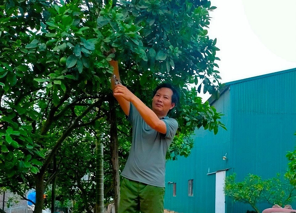 Người nông dân đa tài, giỏi kinh doanh