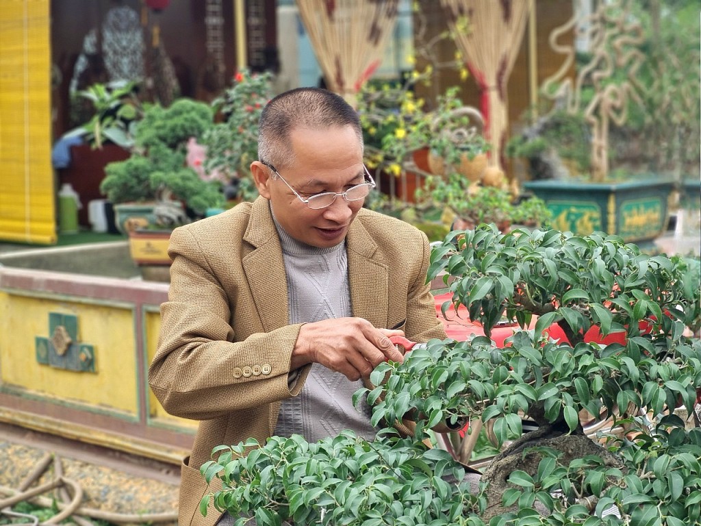 Nông dân làm giàu từ mô hình bonsai tiền tỷ