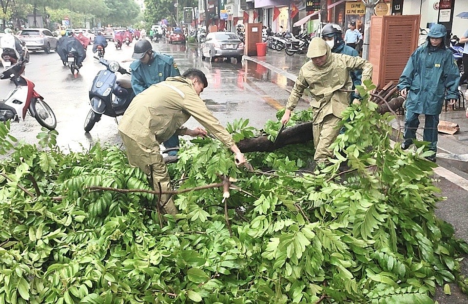 Quận Đống Đa khắc phục kịp thời sự cố cây đổ do bão số 3