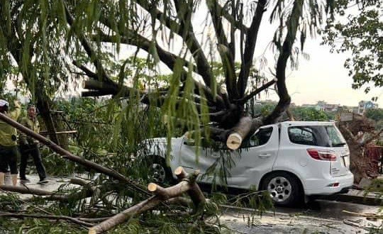 Quận Long Biên: Chủ động, sẵn sàng ứng phó với bão số 3