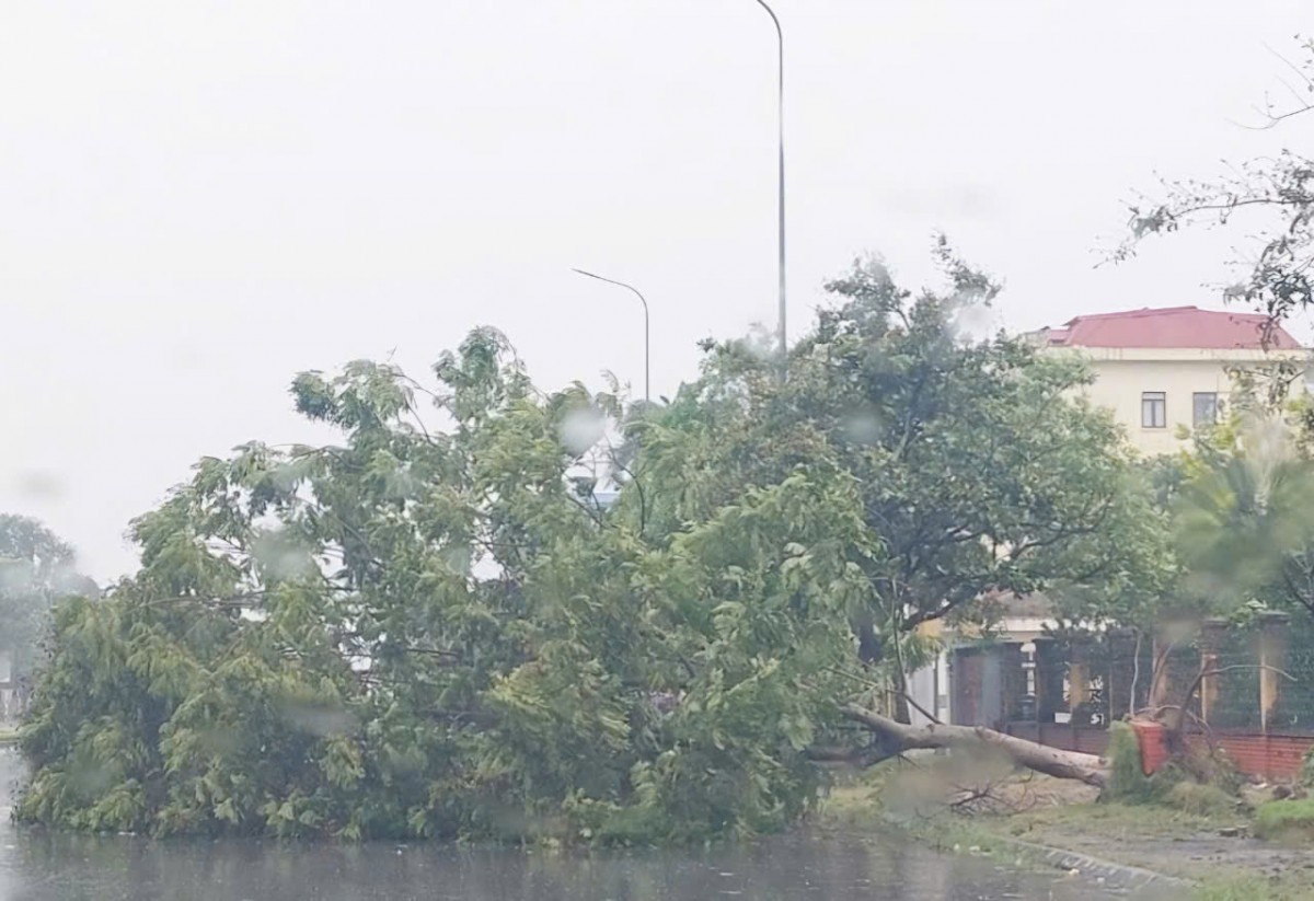 Hưng Yên: Tập trung khắc phục hậu quả do bão gây ra