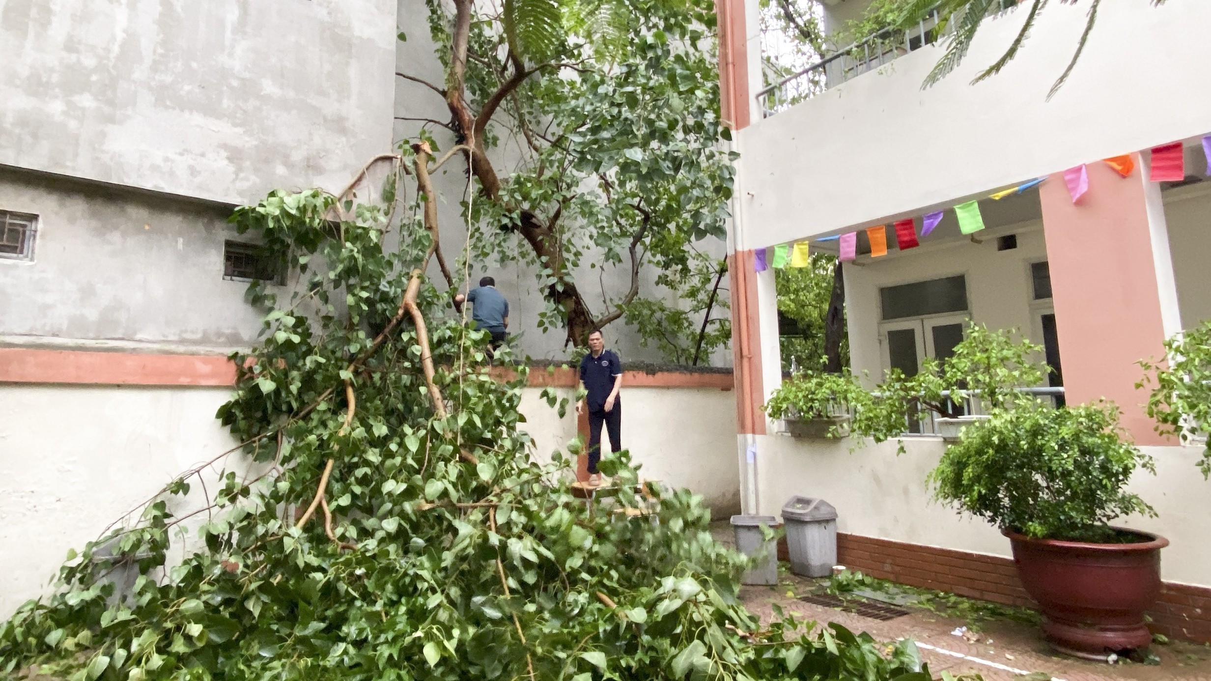 Chủ động ứng phó kịp thời, xử lý nhanh với ảnh hưởng xấu của thời tiết