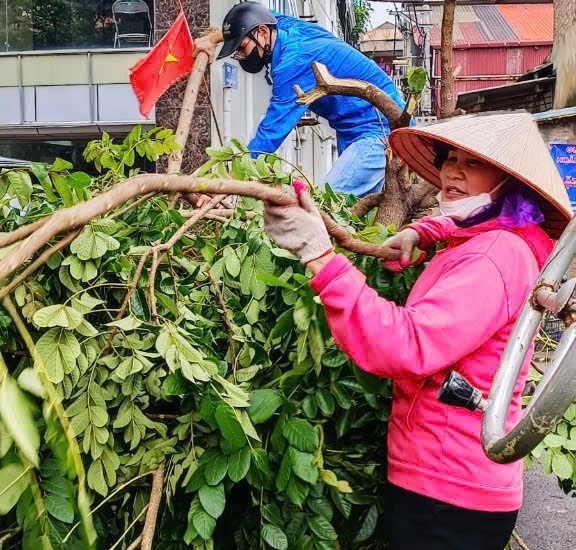 Các cấp hội Phụ nữ ra quân dọn dẹp cây đổ, lưu thông đường phố