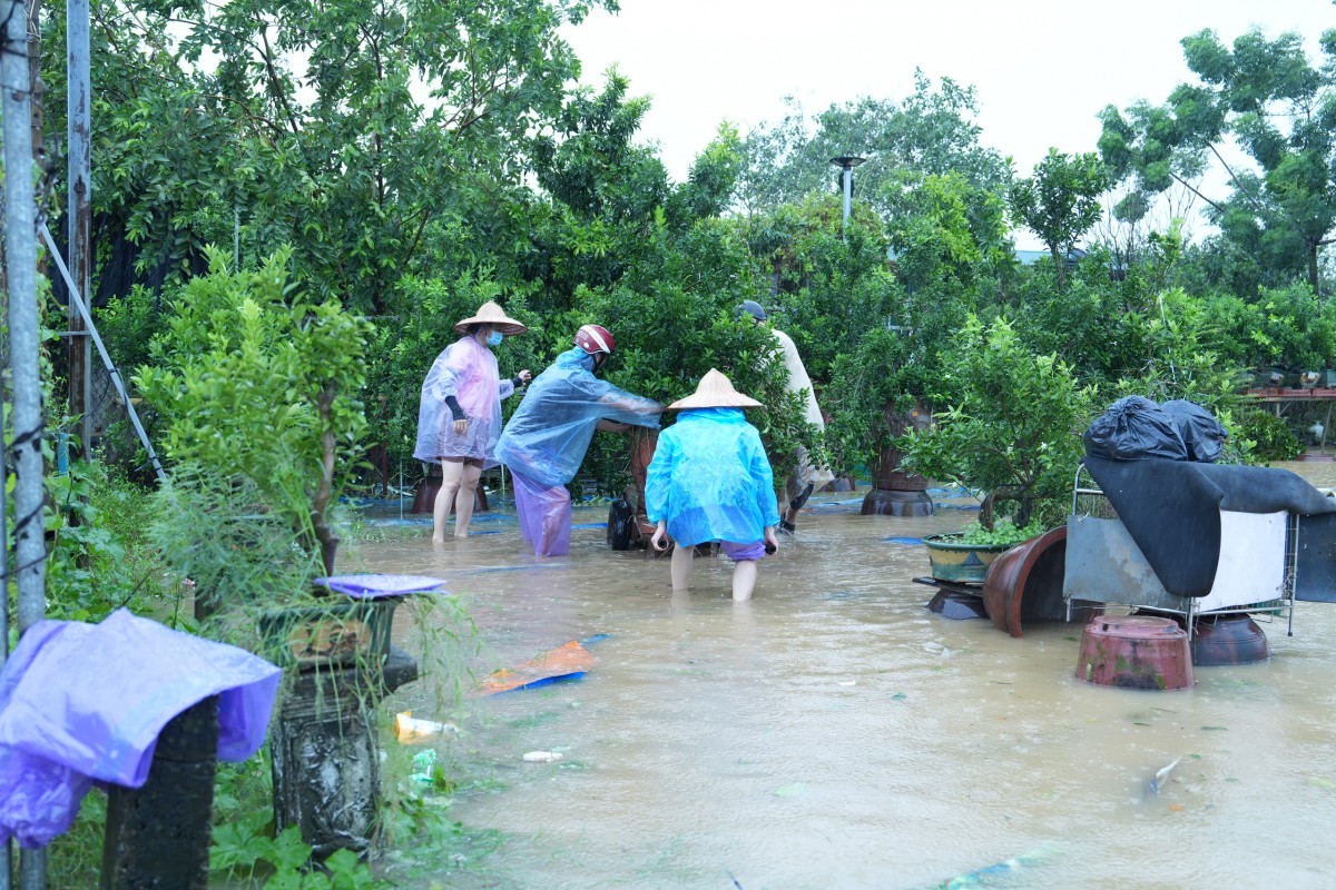 Hà Nội tập trung ứng phó lũ lớn, đảm bảo an toàn đê điều