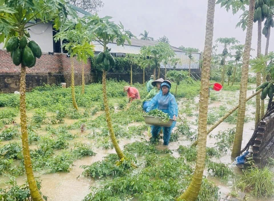 Huyện Đan Phượng: Thăm hỏi, hỗ trợ người dân ổn định đời sống do ảnh hưởng của mưa lũ