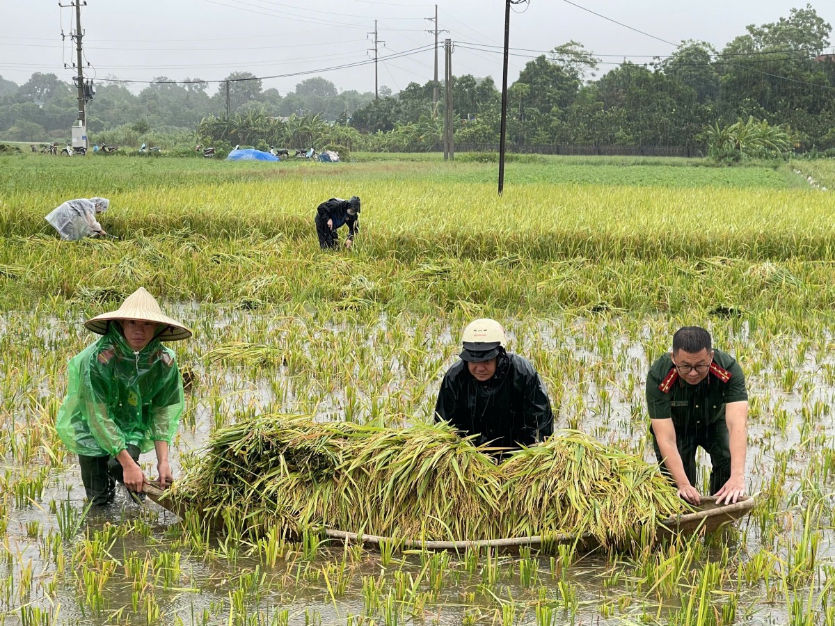 Người đứng đầu chịu trách nhiệm toàn diện về khắc phục hậu quả cơn bão số 3