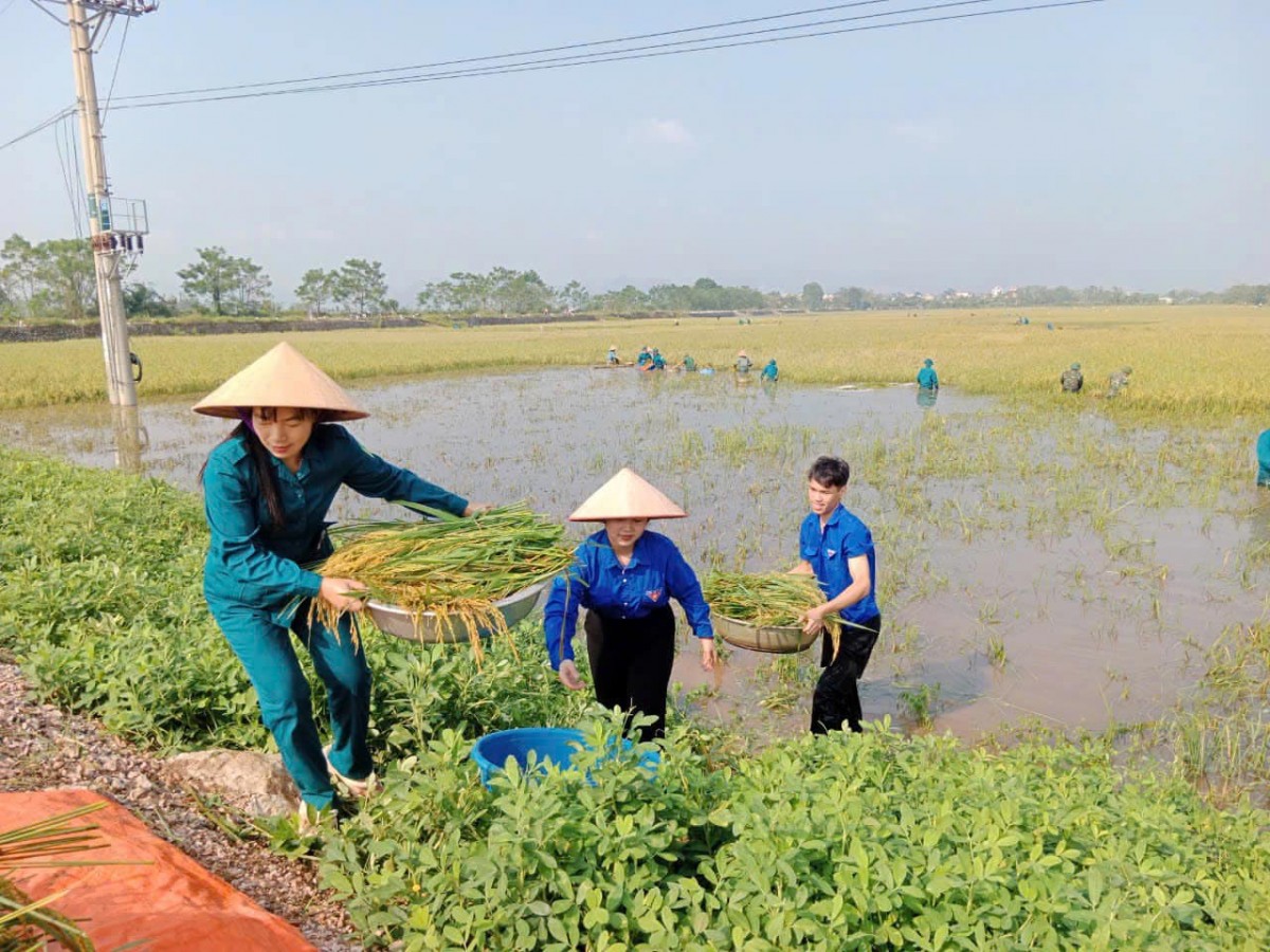 Huyện Mỹ Đức tiếp tục nỗ lực khắc phục hậu quả thiên tai