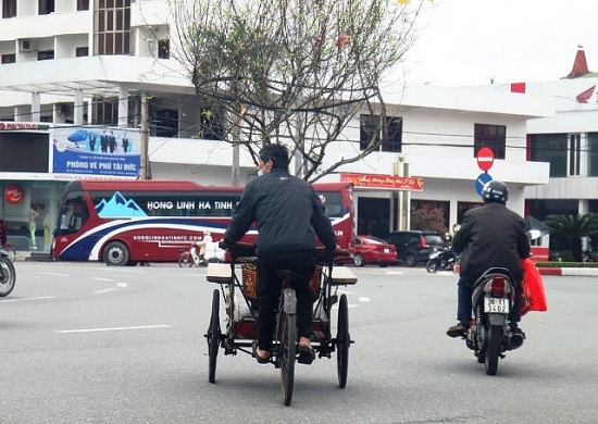 Hà Tĩnh: Dịch vụ chăm sóc, thu mua cây cảnh sau Tết vào vụ