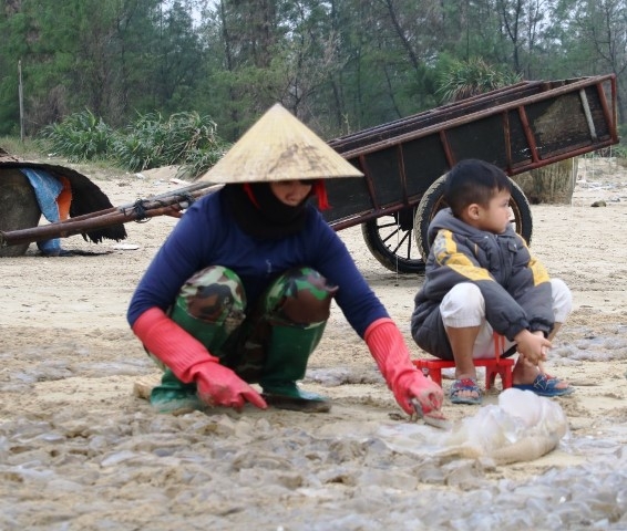 Ngư dân Hà Tĩnh vớt lộc trời dưới cái lạnh tê tái kiếm hàng triệu đồng mỗi ngày