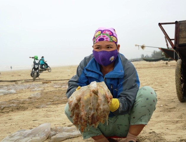 Ngư dân Hà Tĩnh vớt lộc trời dưới cái lạnh tê tái kiếm hàng triệu đồng mỗi ngày